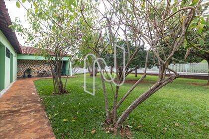 Jardim