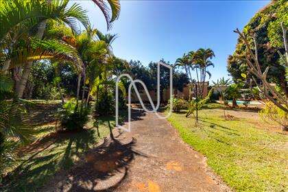 Jardim 