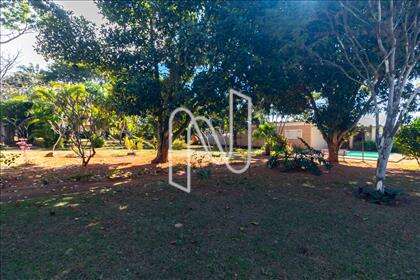 Jardim 