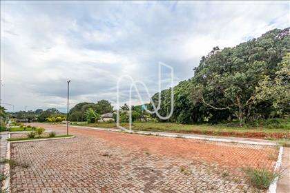 FOTO TÉRREA - PISTA + PAISAGISMO + LOTES