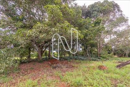 FOTO TÉRREA - LOTE