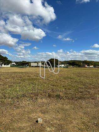 LOTE 