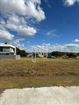 LOTE 