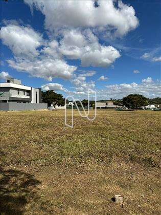 LOTE 