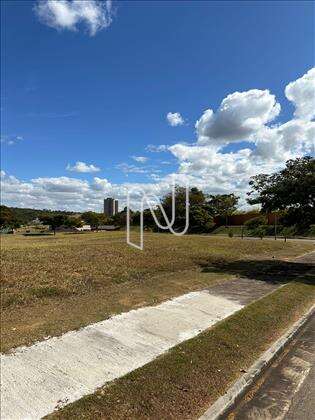 LOTE 