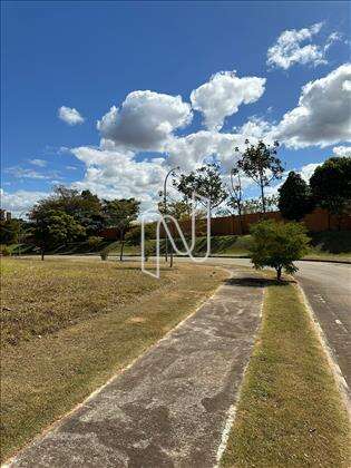 LOTE 