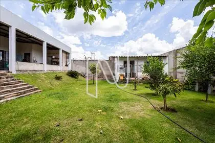 Jardim 