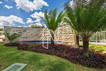Jardim com Paisagismo  