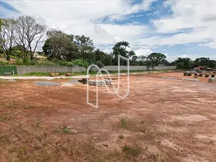 Lote 