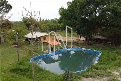 Tanque de Peixe 