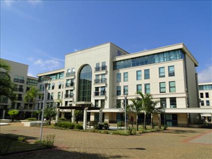 25 - 