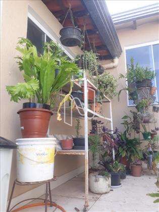 Jardim