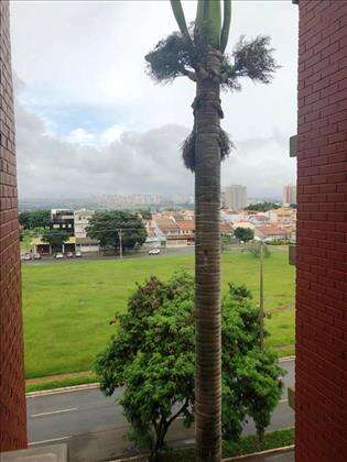Vista do Apto