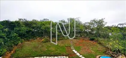 quintal plantas 