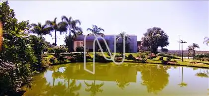  clube damah1