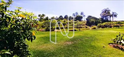 paisagismo damha 1 