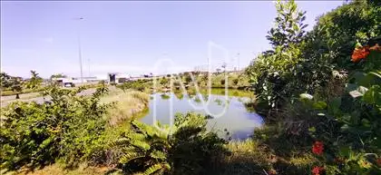 verde 