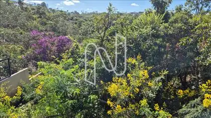 jardim