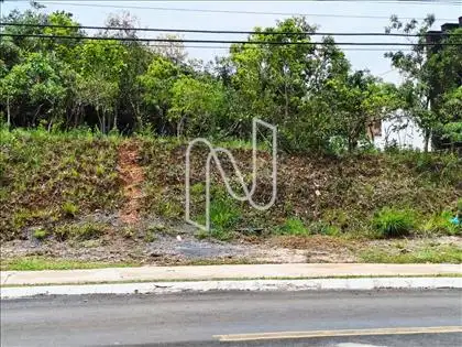 lote 11 