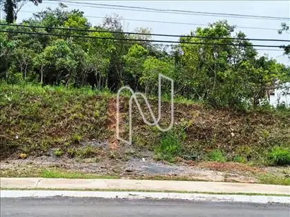 lote 10 