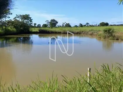 A3 LAGO 
