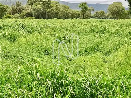 B3 PASTOS/ÁREA 