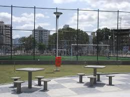 Muito verde no entorno