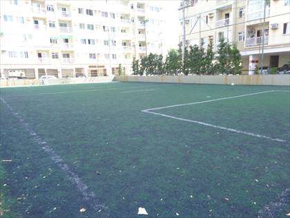Campo