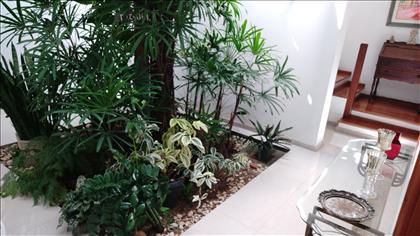 Jardim de inverno