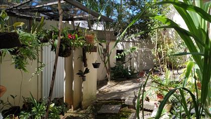 Quintal