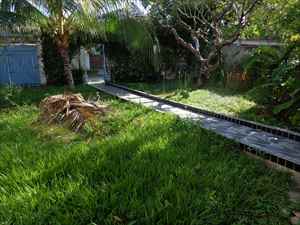   Jardim