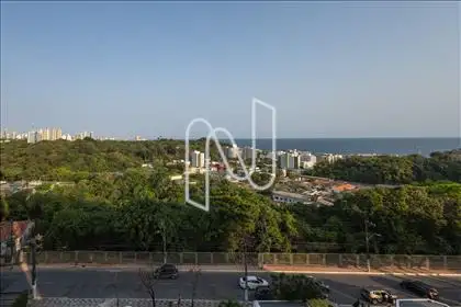  Vista 