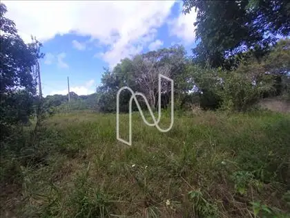 Terreno 