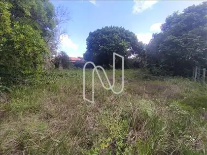  Terreno