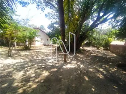  Terreno