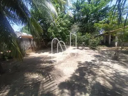  Terreno