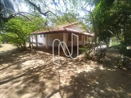   A casa fica na parte central do terreno