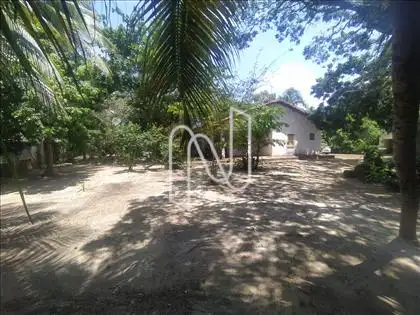 Terreno 
