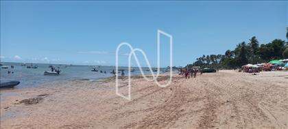 Próximo a praia 
