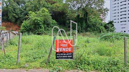 Frente de lote 
