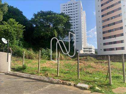 Lateral do lote 