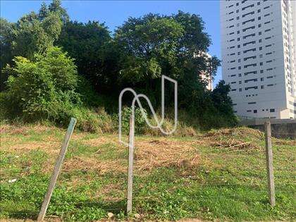 Lateral do lote 