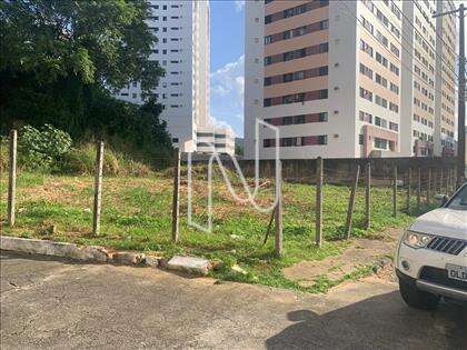 Lateral do lote 