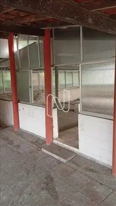 Pavimento 3 