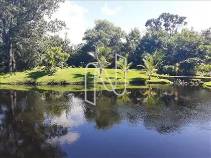  Lago