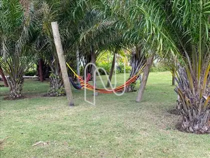 área verde 