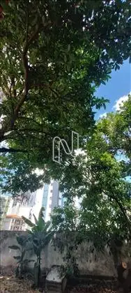  Fundo verde