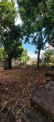  Fundo verde