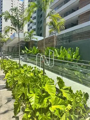 Jardim