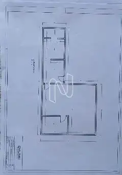  Planta
